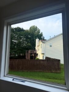 WhatsApp Image 2026-03-23 at 10.05.50 AM (3)